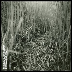 韩国美女互摸对方的乳头视频
